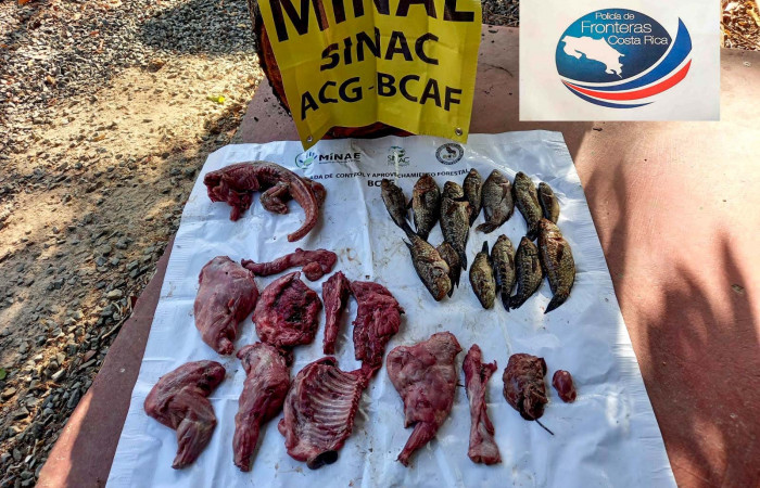 11 de abril 2022  El Pelón de la Bajura  Foto: BCAF.PSA