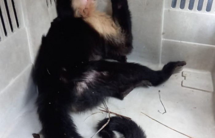 Quebrada Grande, Liberia Guanacaste, 29 de abril 2022  Foto: Jorge Gamboa