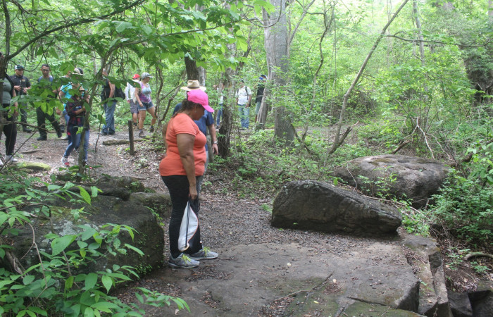 Quebrada El Duende, Sendero Indio Desnudo, Parque Nacional Santa Rosa, 9 de junio 2022, Foto: Melissa Espinoza