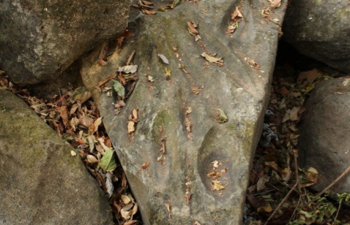 Quebrada El Duende, Sendero Indio Desnudo, Parque Nacional Santa Rosa,  Foto: Juan Carlos Calleja