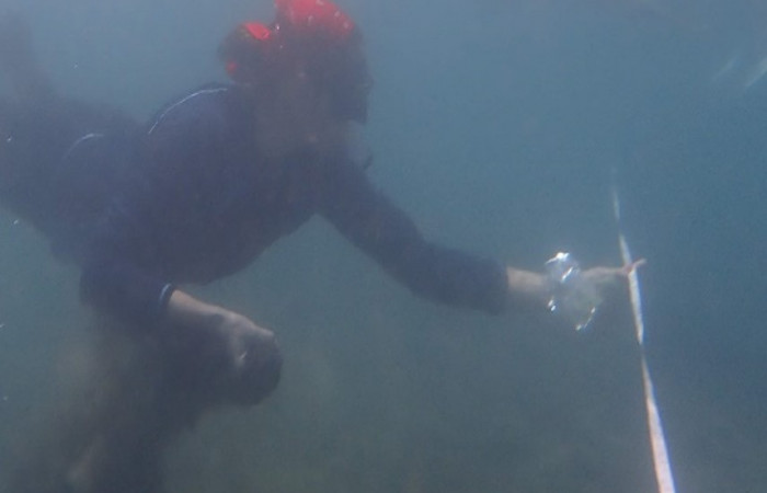 Foto: Carla van Barneveld  