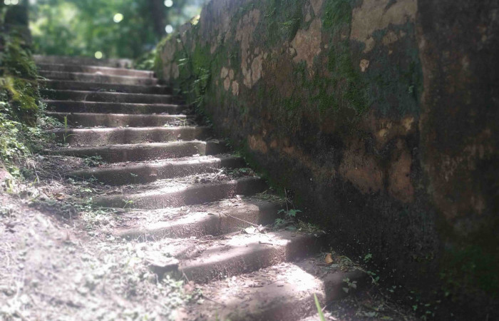 Fotografía: Johan Martínez, Junio 24, 2022