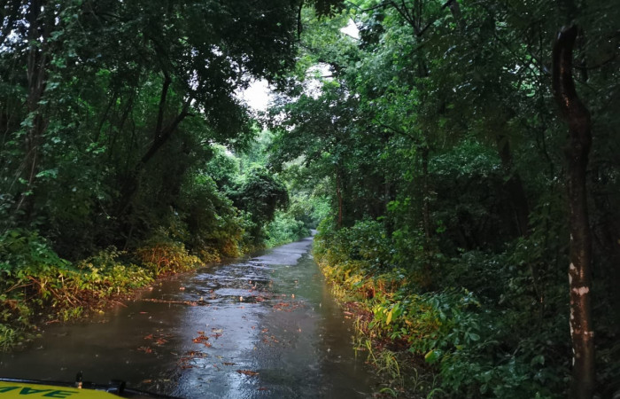 Fotografia: Julio Diaz   2 de julio 2022