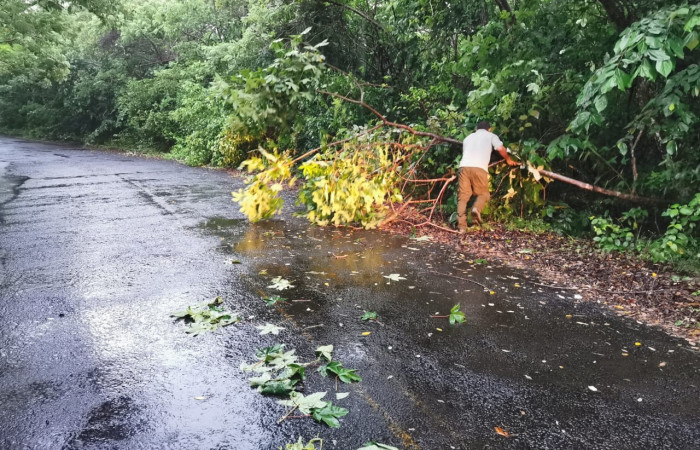 Fotografia: Julio Diaz   2 de julio 2022