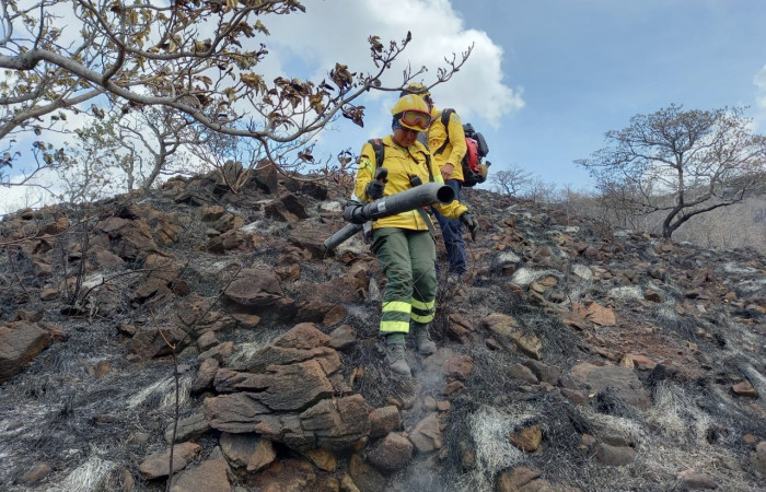 22 de abril 2022  Foto: Programa Manejo del Fuego