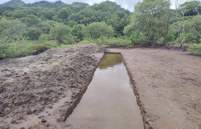 Manglar Bahía Tomas, Cuajiniquil, La Cruz Guanacaste  11 de agosto 2022  Foto: Melissa Espinoza 
