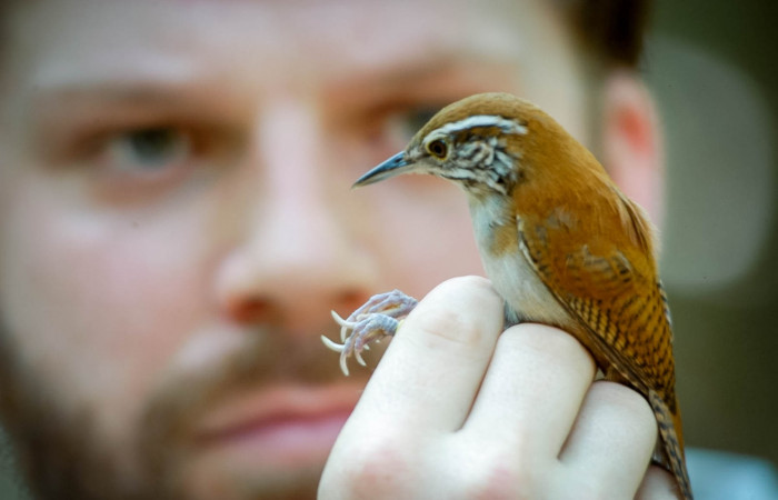 Sector Santa Rosa, 2018, Fotografías: Dale Morris