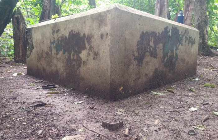 Parque Nacional Santa Rosa, Octubre 2022, Foto: Johan Martínez