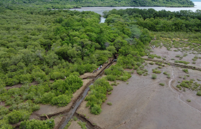 Vista aérea hacia la bahía