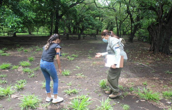 Explicando sobre la existencia de microplásticos y la problemática que esto significa.