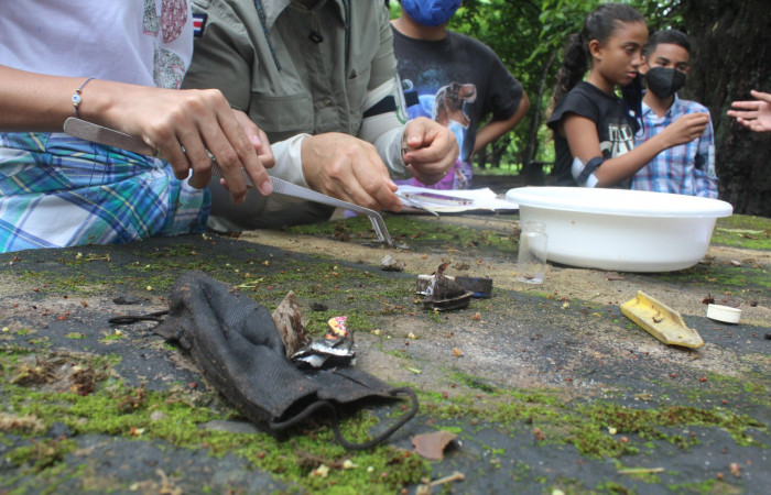 Llenando los detalles de la hoja de trabajo en la actividad de microplásticos.