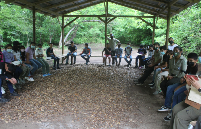 Presentación de los grupos.