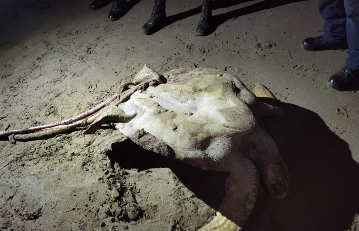 Playa El Jobo La Cruz Guanacaste  8 de noviembre 2022  Foto: Marco Bustos