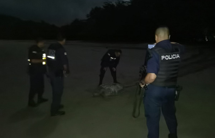 Playa El Jobo La Cruz Guanacaste  8 de noviembre 2022  Foto: Marco Bustos