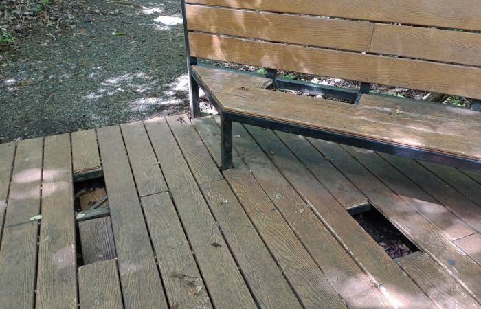 Sendero Indio Desnudo, Parque Nacional Santa Rosa  Noviembre 2022  Foto: Johan Martínez