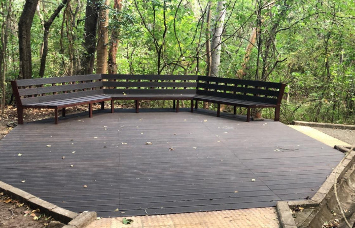 Sendero Indio Desnudo, Parque Nacional Santa Rosa  Noviembre 2022  Foto: Johan Martínez