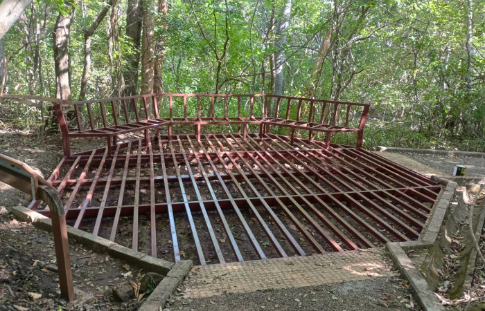 Sendero Indio Desnudo, Parque Nacional Santa Rosa  Noviembre 2022  Foto: Johan Martínez