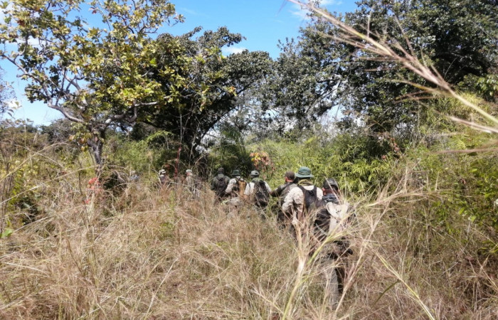 8 de enero 2023  Foto: Brigada de Prevención Protección y Control del ASP- ACG    Pijije de Bagaces