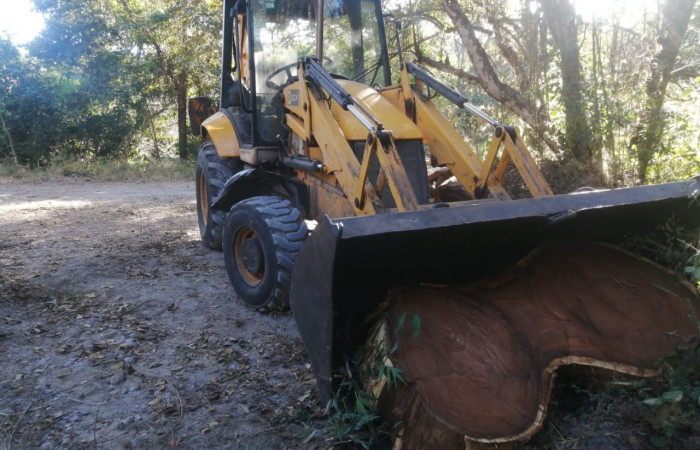 6 de enero 2023  Papagayo, Nacascolo de Liberia  Foto: Brigada de Prevención Protección y Control del ASP- ACG