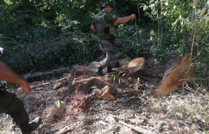 6 de enero 2023  Papagayo, Nacascolo de Liberia  Foto: Brigada de Prevención Protección y Control del ASP- ACG