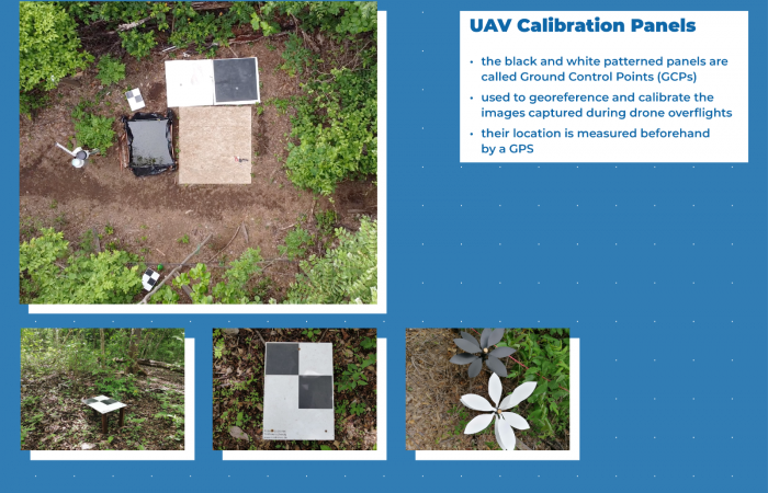 Estación Experimental Forestal Horizontes (EEFH)  2019-2023