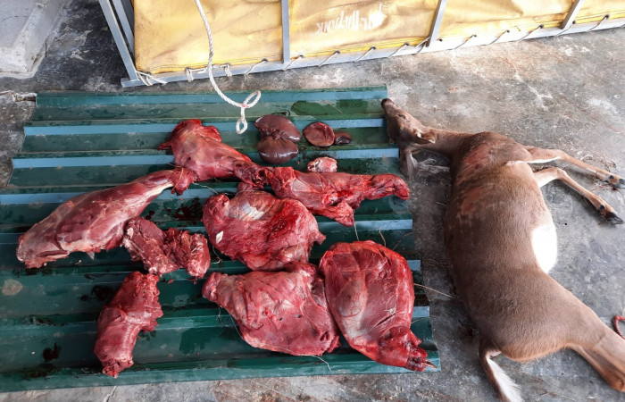 5 de marzo 2023  Sector Murciélago, Parque Nacional Santa Rosa  Foto: Programa de Prevención, Protección y Control  