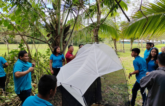 Figura 3.  Trampa Malaise #2 instalada en el borde del bosque. Foto: Roberto Fernández