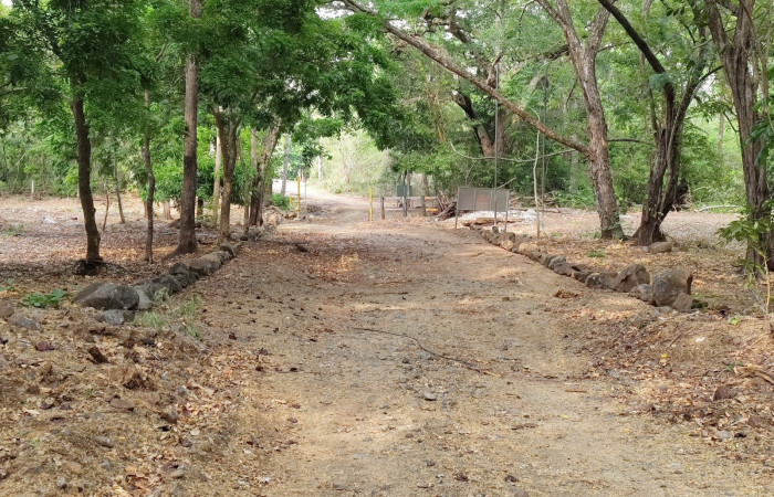 Parque Nacional Santa Rosa  Abril 2023  Foto: Esther Centeno