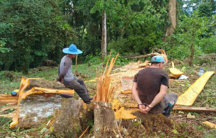 14 de junio   Dos Ríos de Upala  Foto: BCAF.PSA