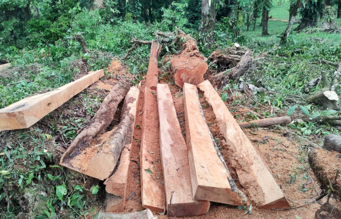14 de junio   Dos Ríos de Upala  Foto: BCAF.PSA