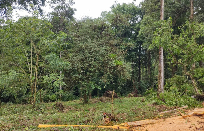14 de junio   Dos Ríos de Upala  Foto: BCAF.PSA