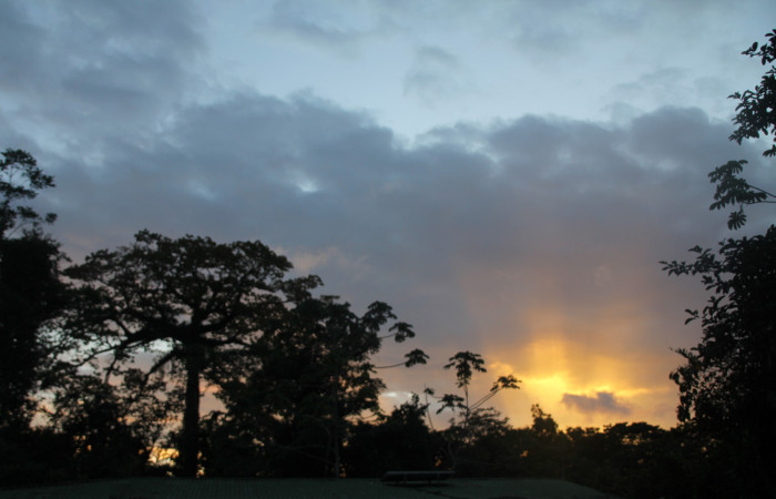  Figura 1.Foto Pablo Umaña el 22 de mayo, del 2023.