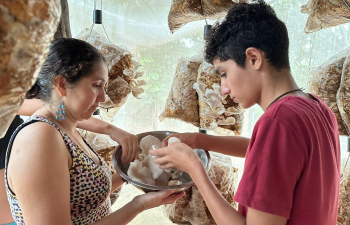 Cañas Dulces, Liberia Guanacaste  Fuente: Rosibel Elizondo, 2023