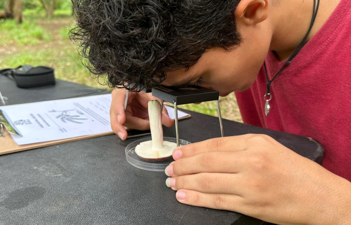 Cañas Dulces, Liberia Guanacaste  Fuente: Rosibel Elizondo, 2023