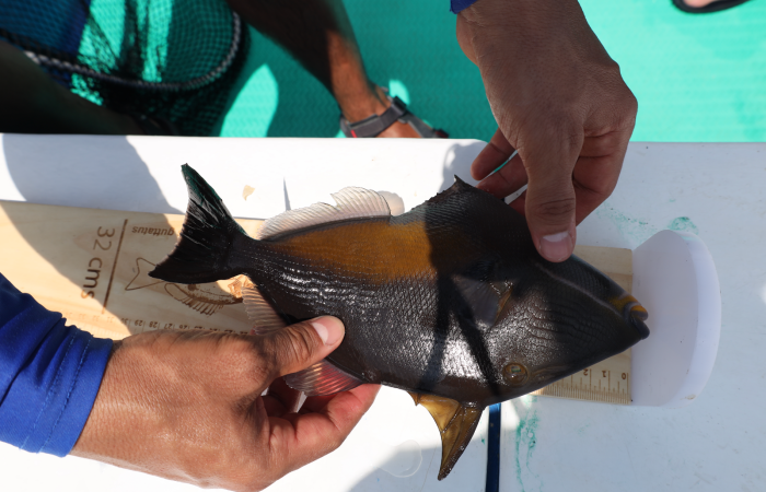 AMMBSE  7 de octubre 2023  foto: Melissa Espinoza