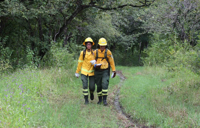 Sector Pocosol, PN Guanacaste  Noviembre 2023  Foto: Melissa Espinoza
