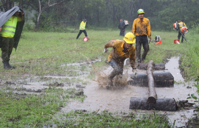 Sector Pocosol, PN Guanacaste  Noviembre 2023  Foto: Melissa Espinoza