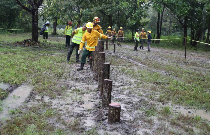 Sector Pocosol, PN Guanacaste  Noviembre 2023  Foto: Melissa Espinoza