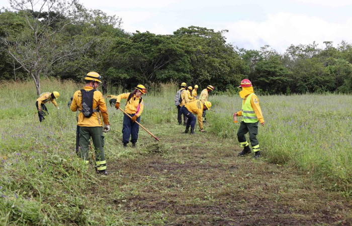 Sector Pocosol, PN Guanacaste  Noviembre 2023  Foto: Melissa Espinoza