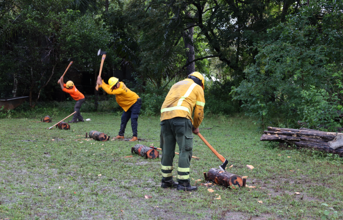 Sector Pocosol, PN Guanacaste  Noviembre 2023  Foto: Melissa Espinoza