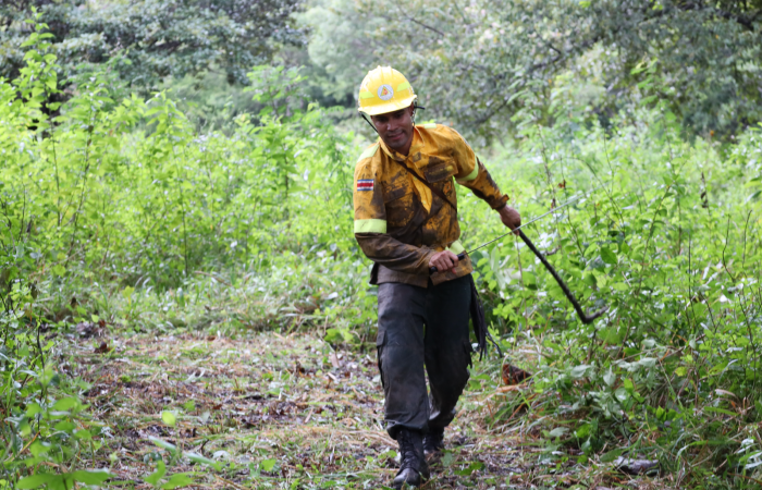 Sector Pocosol, PN Guanacaste  Noviembre 2023  Foto: Melissa Espinoza