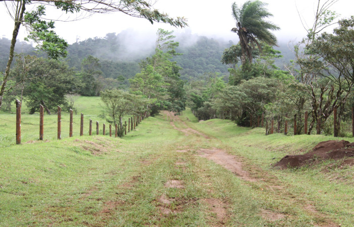 Fig.1 Estación PItilla, Area Conservación Guanacaste 14 Agosto 2013. Foto Calixto Moraga.jpg
