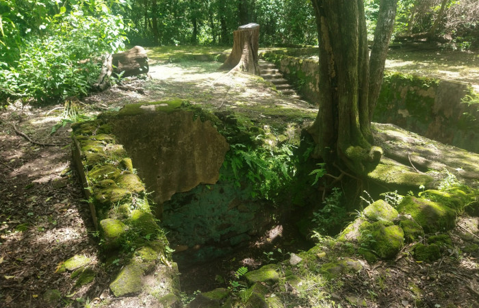 Fotografía: Johan Martínez, Junio 24, 2022