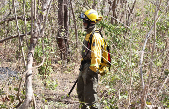 Incendio forestal Altamira-Parque Nacional Guanacaste  Abril 2024  Foto:Melissa Espinoza