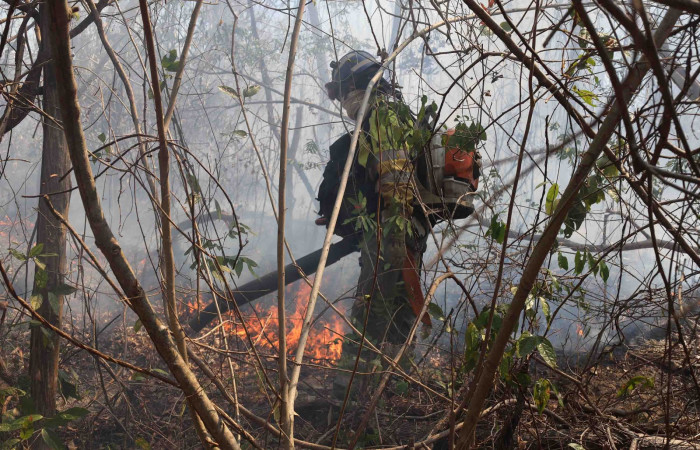 Incendio forestal Altamira-Parque Nacional Guanacaste  Abril 2024  Foto:Melissa Espinoza