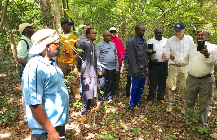 Sector Santa Rosa, 7 junio 2018, Fotografía: Roger Blanco