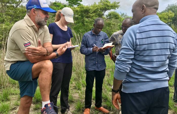 Sector Santa Rosa, 7 junio 2018, Fotografía: Roger Blanco