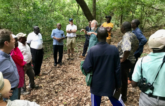 Sector Santa Rosa, 7 junio 2018, Fotografía: Roger Blanco