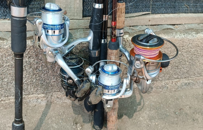 Sector Playa Naranjo, Parque Nacional Santa Rosa  Foto: Programa de Prevención, Protección y Control