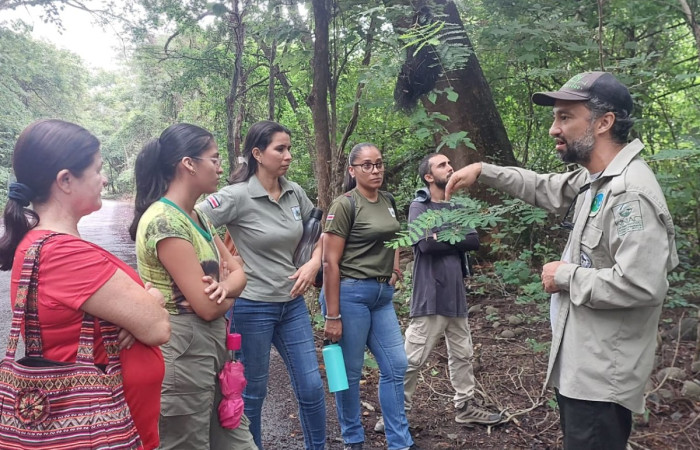 Funcionario Albán Jiménez, del Programa de Educación Biológica de ACG, bioalfabetiza a funcionarios de ACT y ACAT, sobre interrelaciones del bosque seco.